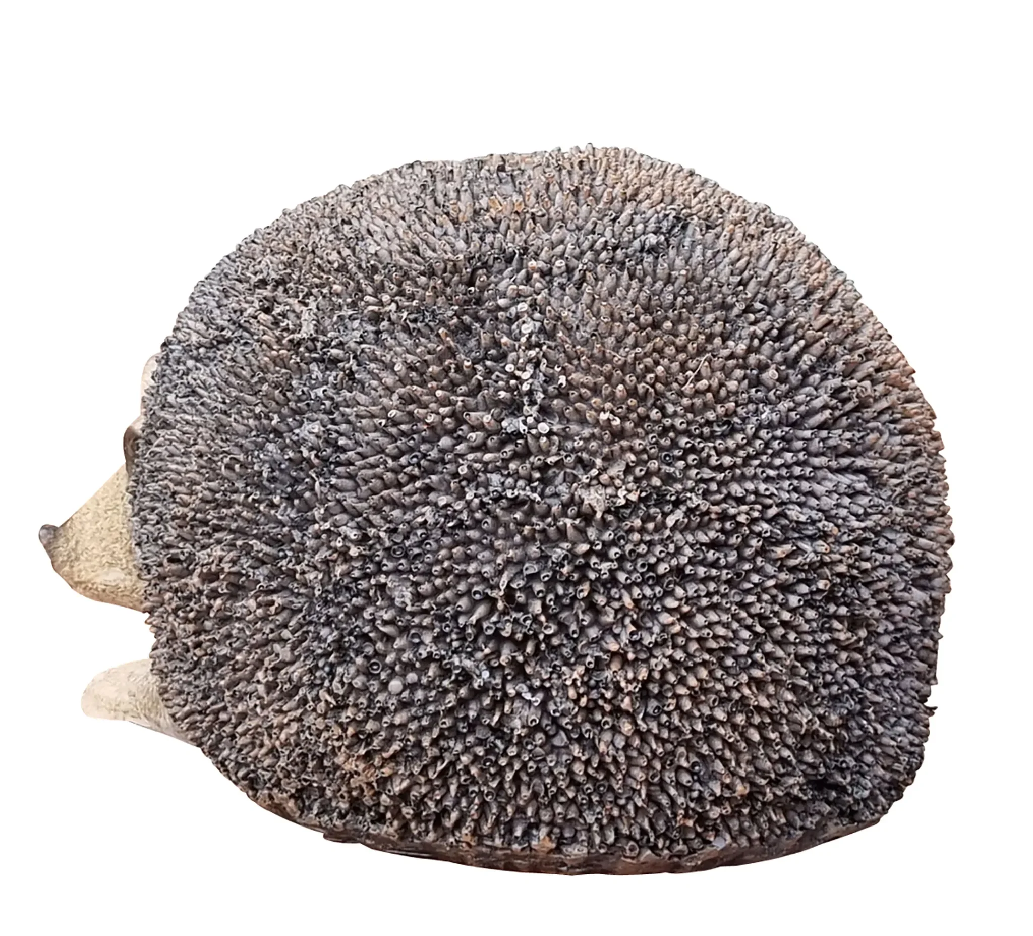 Dekofigur Igel „Helmut“ – Lebensechte Gartenfigur für Innen & Außen